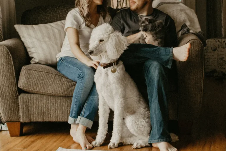 Cohabitation